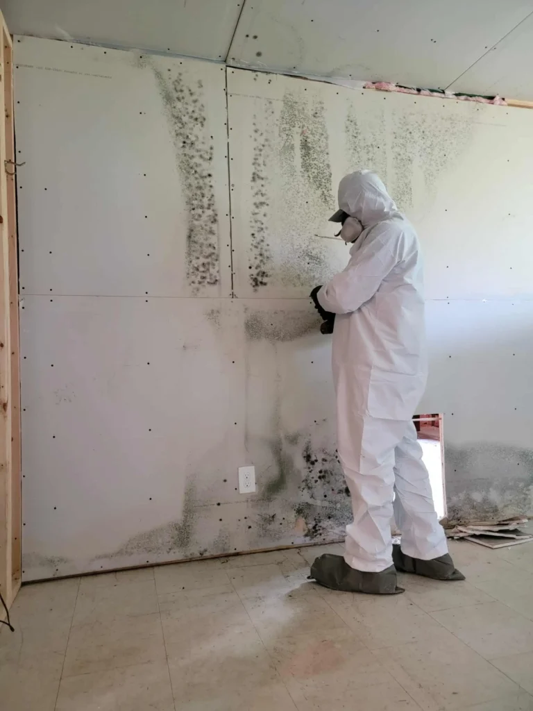 Specialist removing mold-infested drywall – water damage restoration in Tustin