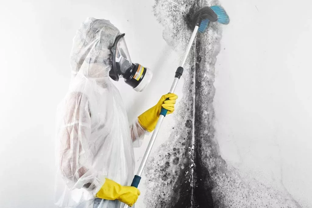 Worker in protective gear scrubbing mold from wall – water damage restoration in Tustin